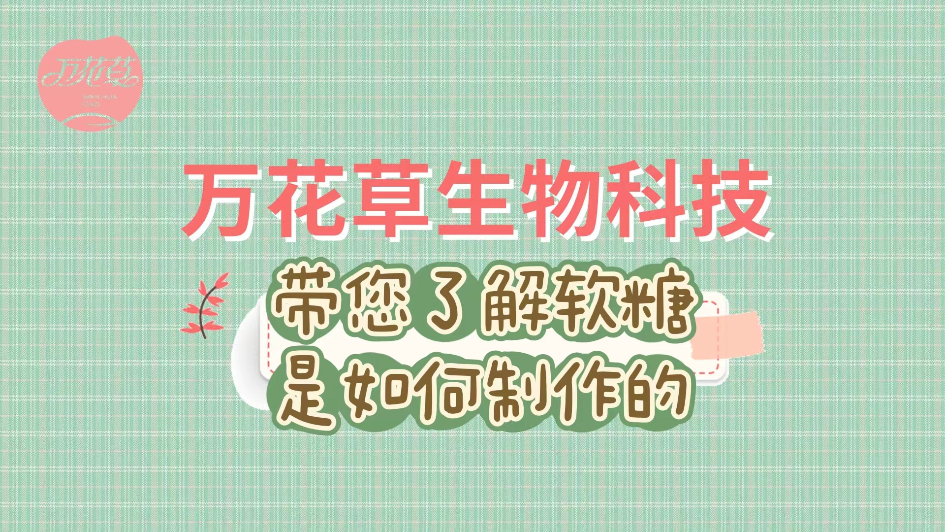 軟糖代加工(gōng)生(shēng)産工(gōng)藝流程，帶您了(le)解糖果是(shì)如(rú)何制(zhì)作(zuò)的(de)