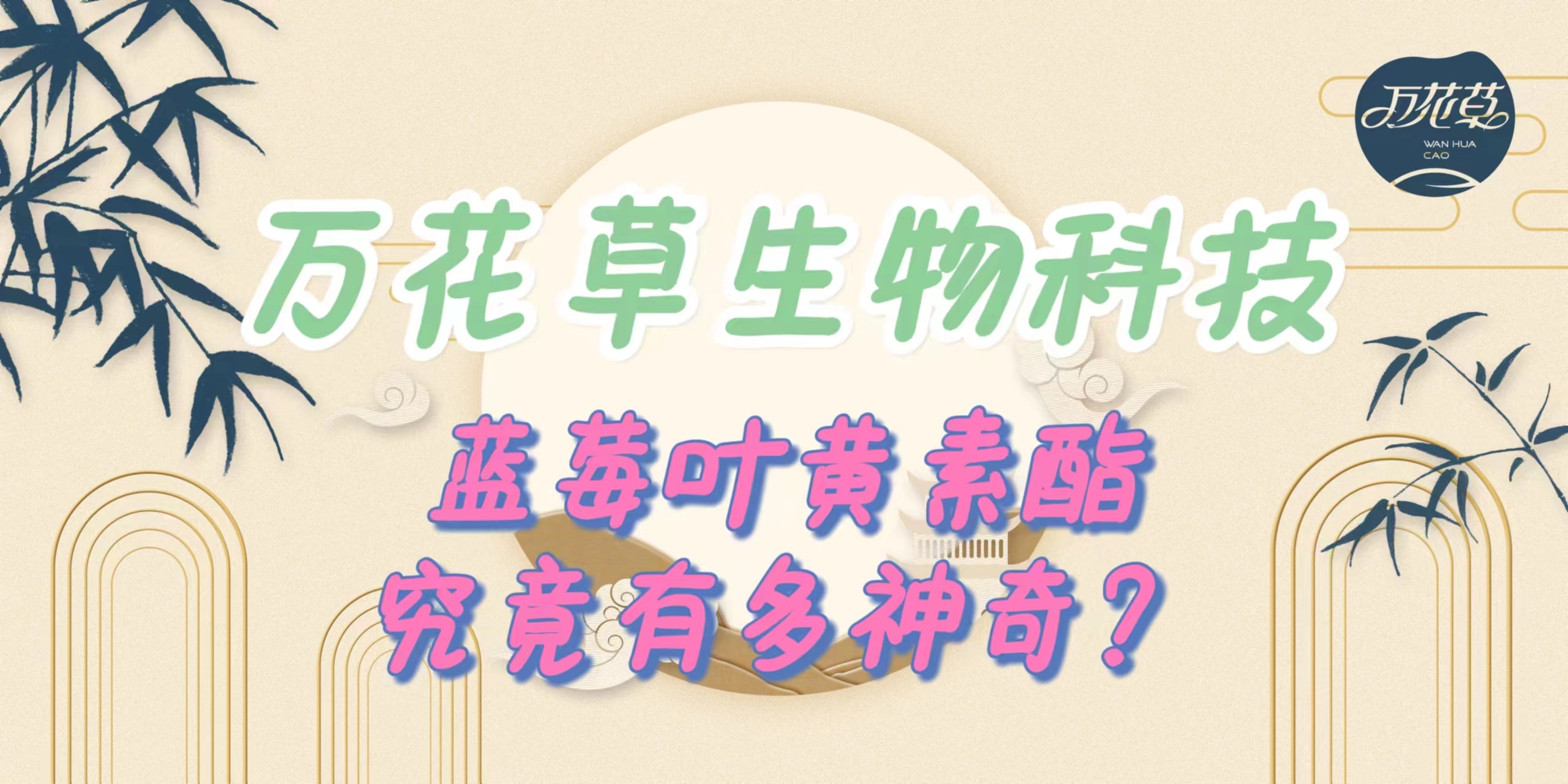 升級配方，重磅出擊，萬花(huā)草(cǎo)藍(lán)莓葉黃(huáng)素酯究竟有(yǒu)多(duō)神奇？