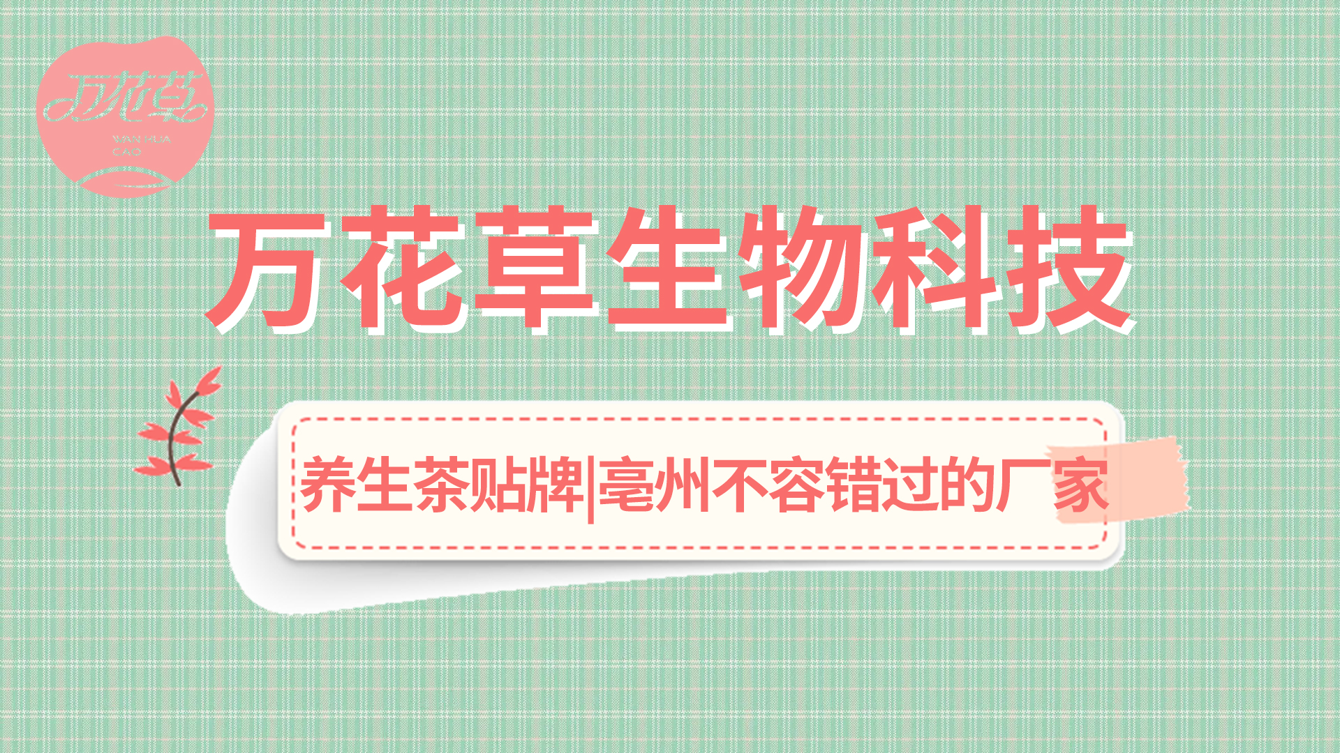 亳州不(bù)容錯(cuò)過的(de)大(dà)健康廠(chǎng)家(jiā)——萬花(huā)草(cǎo)